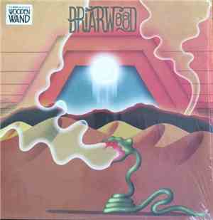 Wooden Wand And The Briarwood Virgins - Briarwood