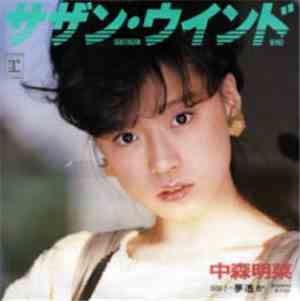 中森明菜 - サザン・ウインド