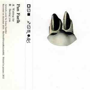 Pan Faelk - Pan Faelk