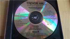 Trevor Hall - Everything, Everytime, Everywhere