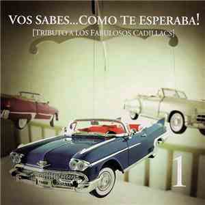 Various - Vos Sabes... Como Te Esperaba!