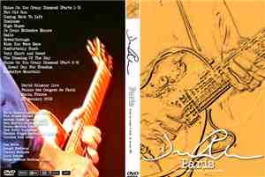 David Gilmour - Paris, France, Palais Des Congres January 23, 2002