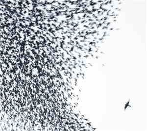 Wilco - Sky Blue Sky