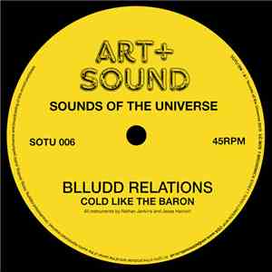 Blludd Relations - Cold Like The Baron