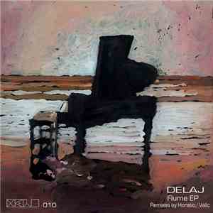 Delaj - Flume