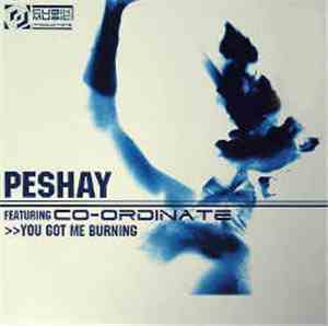 Peshay Featuring Co-Ordinate - You Got Me Burning / Fuzion