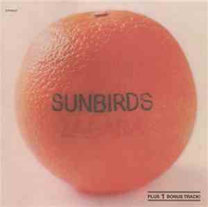 Sunbirds - Zagara