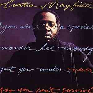 Curtis Mayfield - Never Say You Can't Survive