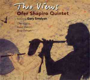 Ofer Shapiro - Two Views