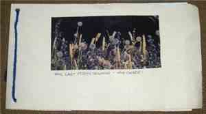 The Last Forty Seconds / The Chase  - The Last Forty Seconds / The Chase