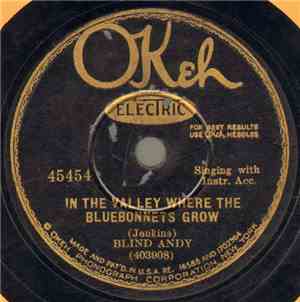 Blind Andy - In The Valley Where The Bluebonnets Grow / Stop And Look For T ...