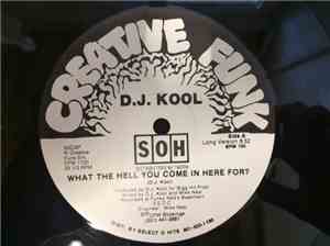 DJ Kool - What The Hell You Come In Here For?