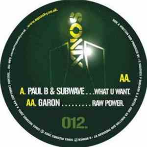 Paul B & Subwave / Garon - What You Want / Raw Power