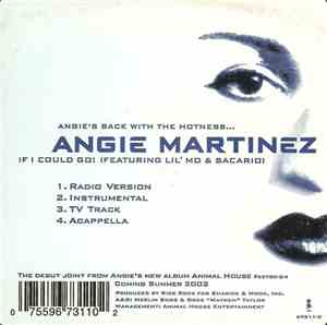 Angie Martinez - If I Could Go