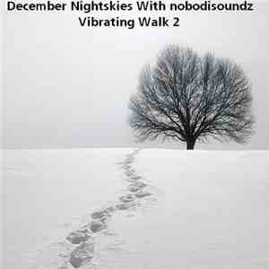 December Nightskies With nobodisoundz - Vibrating Walk 2