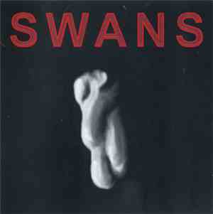 Swans - Live In Brno