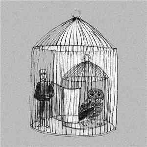 Tyrell's Owl - Empathy Test