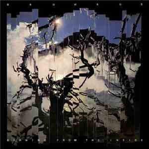 Bauhaus - Burning From The Inside