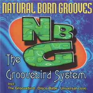 Natural Born Grooves - The Groovebird System