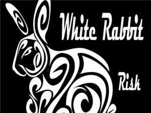 White Rabbit - Risk/Pulse