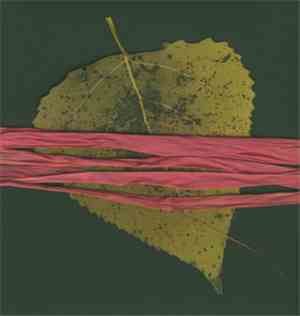 A Broken Consort - Crow Autumn