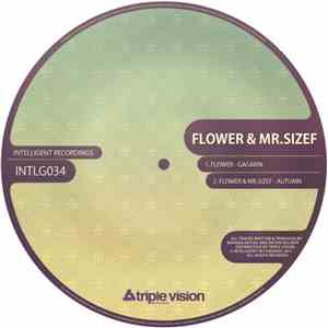Flower  & Mr Sizef - Gagarin / Autumn