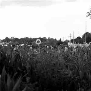 Sleeping Weather - Disconnect
