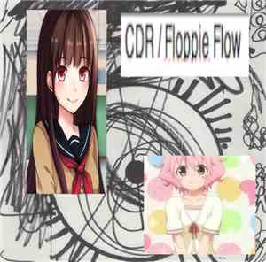Floppie Flow / CDR - Psychedelic Trance Express Vol.107