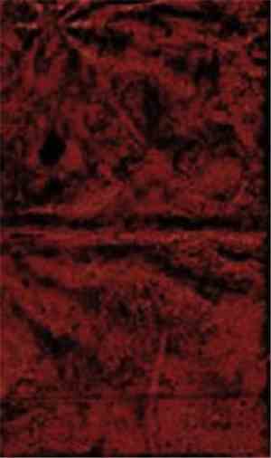 The Secret Geography - I Remember A Room And A Stain On The Carpet