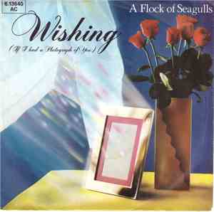 A Flock Of Seagulls - Wishing (If I Had A Photograph Of You)