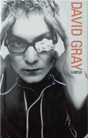 David Gray - Sampler