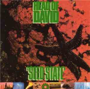 Head Of David - Seed State