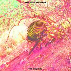 Social Drift & Willowbrook - Wall Songs Outro