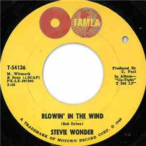 Stevie Wonder - Blowin' In The Wind