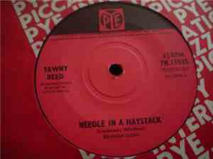 Tawny Reed - Needle In A Haystack
