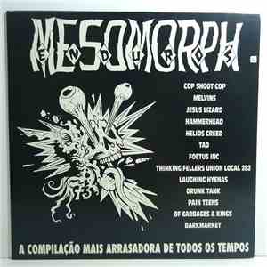 Various - Mesomorph Enduros