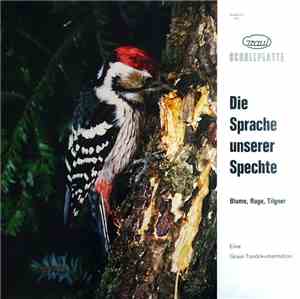 Blume, Ruge, Tilgner - Die Sprache Unserer Spechte