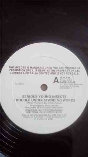 Serious Young Insects - Trouble Understanding Words