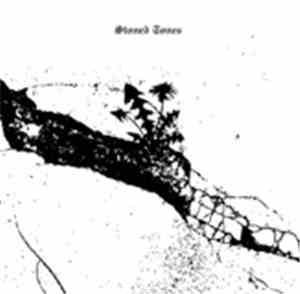 Tomoroh Hidari - Stoned Tones Vol 2