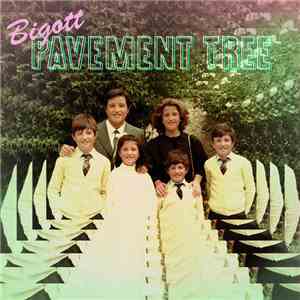 Bigott - Pavement Tree