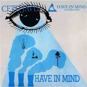 Cetu Javu - Have In Mind