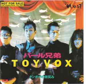 Pearl Brothers - Toyvox / Smile Of Dandelion
