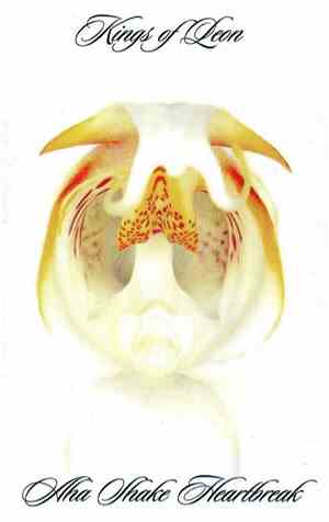 Kings Of Leon - Aha Shake Heartbreak