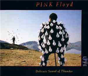 Pink Floyd - Delicate Sound Of Thunder
