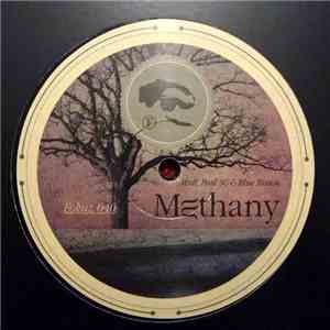 Various - Methany / Losing Brave
