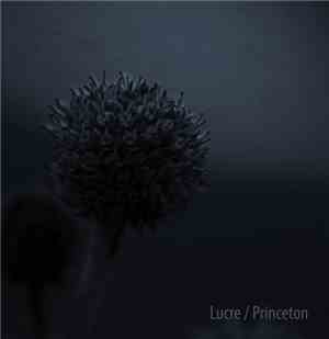 Lucre  - Princeton