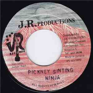 Ninja - Pickney Sinting