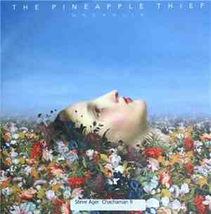 The Pineapple Thief - Magnolia