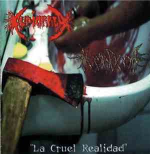 Hematoma  / Audiorrea - La Cruel Realidad