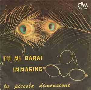 La Piccola Dimensione - Tu Mi Darai / Immagine